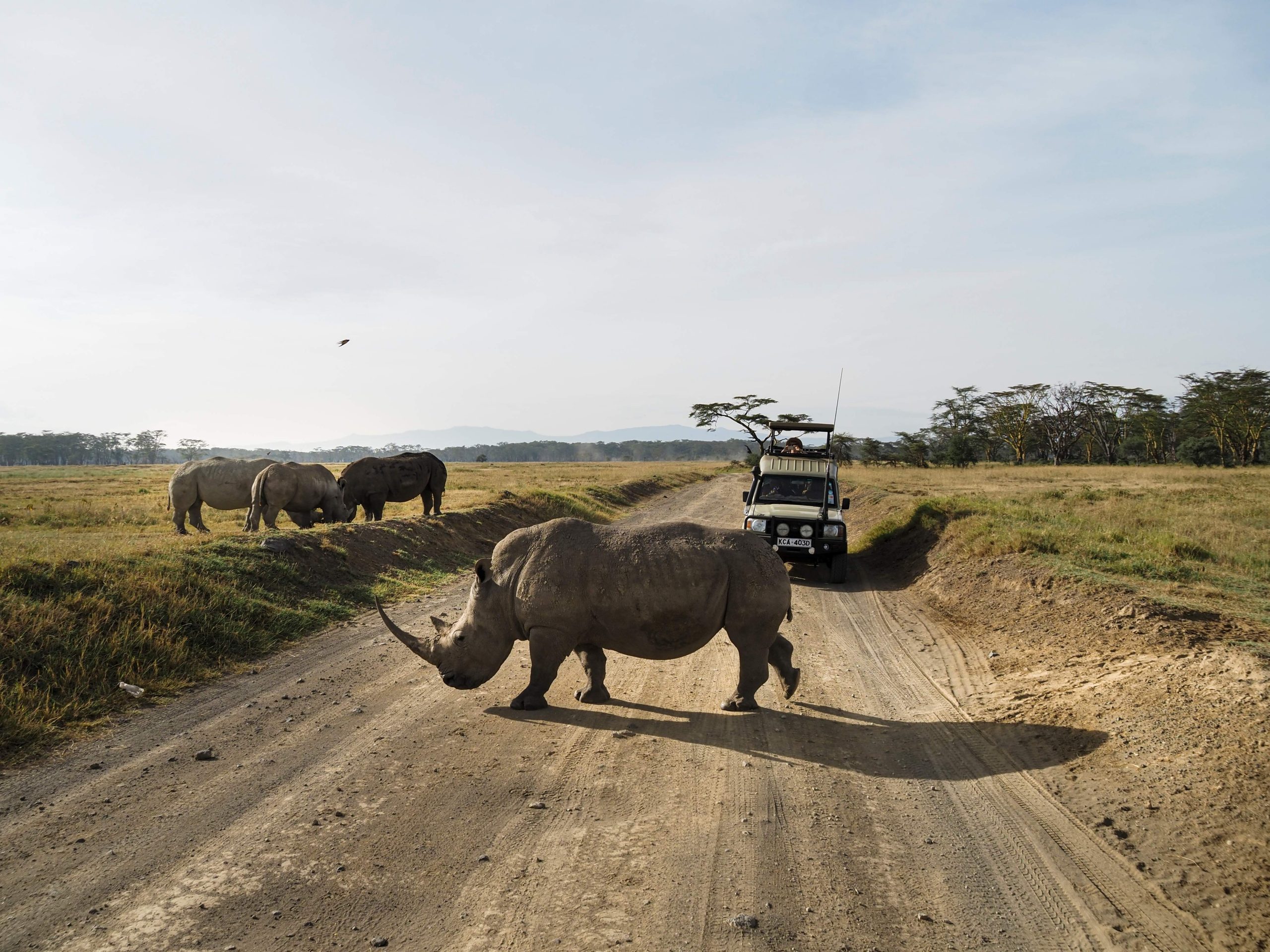 Lake Nakuru National Park