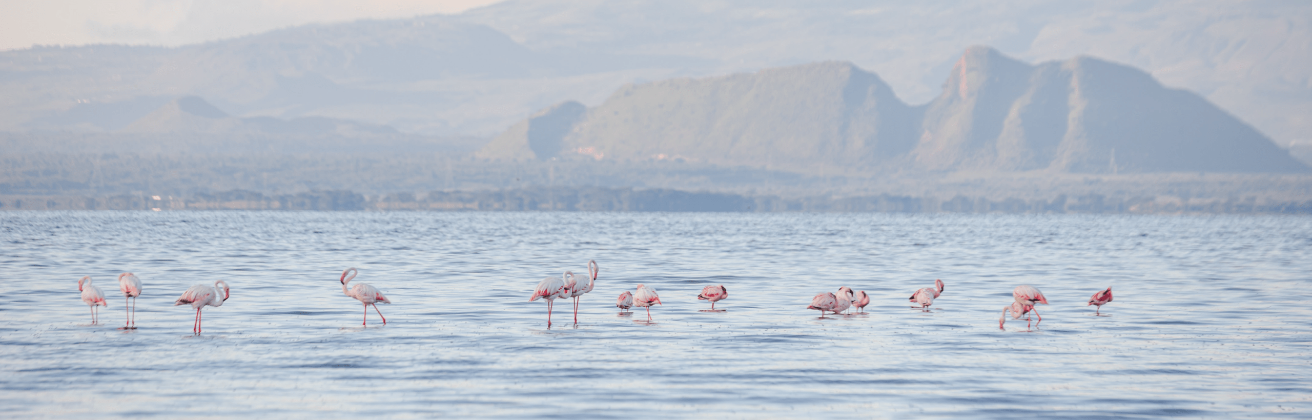 Lake Elementaita Mountain Lodge