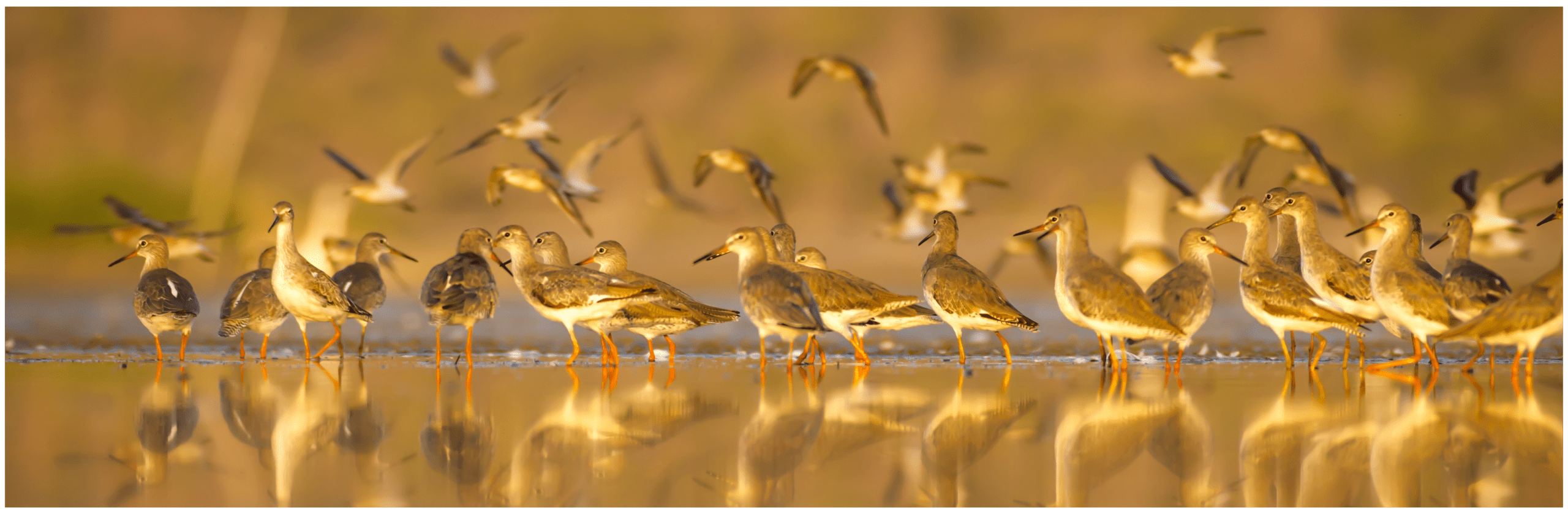 Lake Elementaita Mountain Lodge
