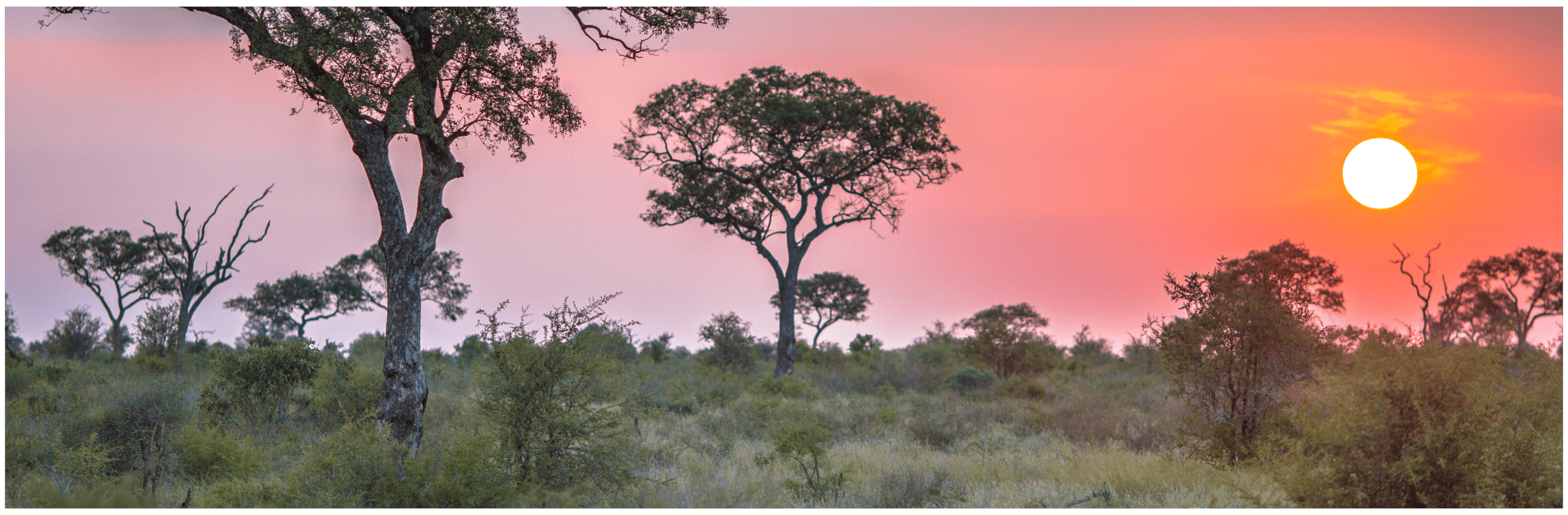 Lake Elementaita Mountain Lodge